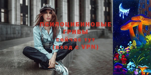 дмт Вяземский
