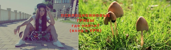 дмт Вяземский